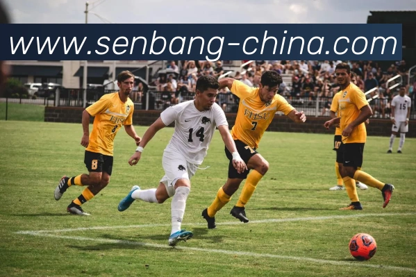 k1体育官方网站登录入口APP 体育赛事宣传图